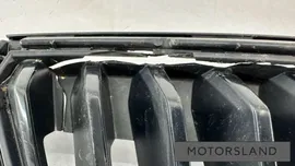 Решетка радиатора Skoda Rapid 2021г. (артикул 091-9112)
