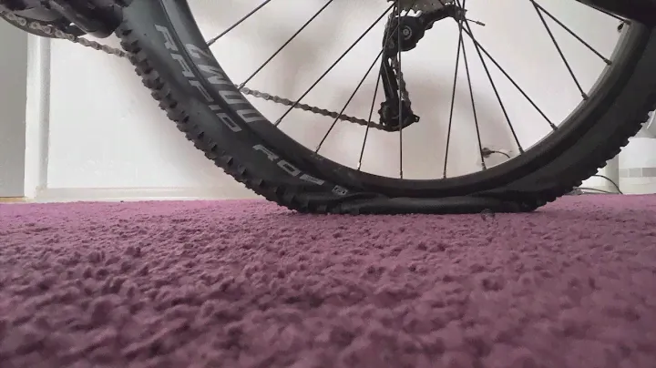 Schwalbe Rapid Rob Quick Valve deflation