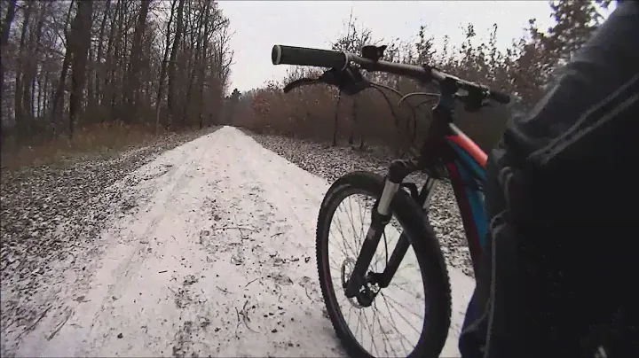 Gumiteszt Schwalbe Rapid Rob