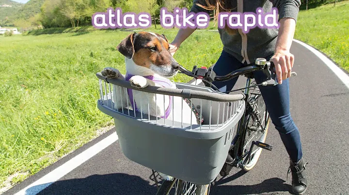 Atlas Bike Rapid